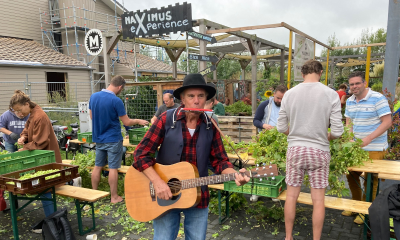 Live muziek tijdens maximus hoppluk